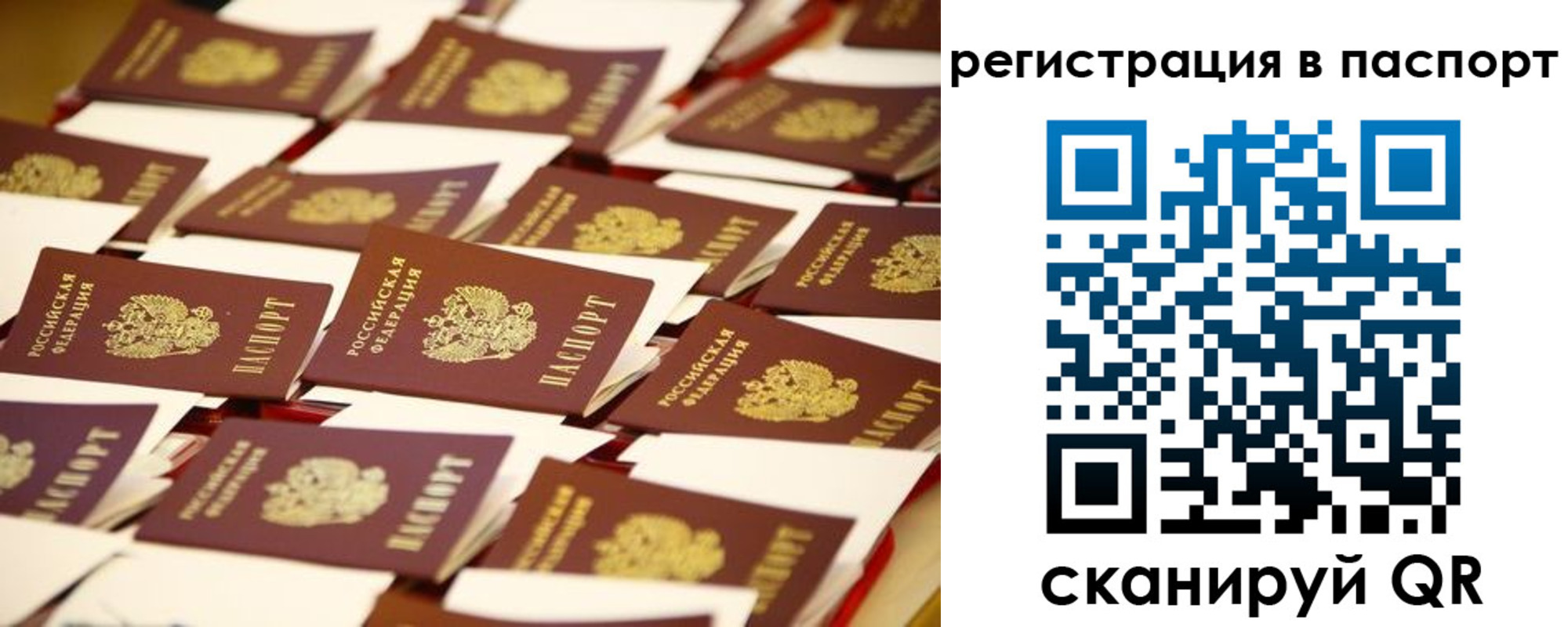 прописка гарантия в Струнино